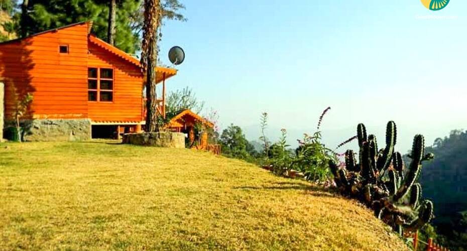 Duplex room in a Pinewood Cottage, Kasauli 2