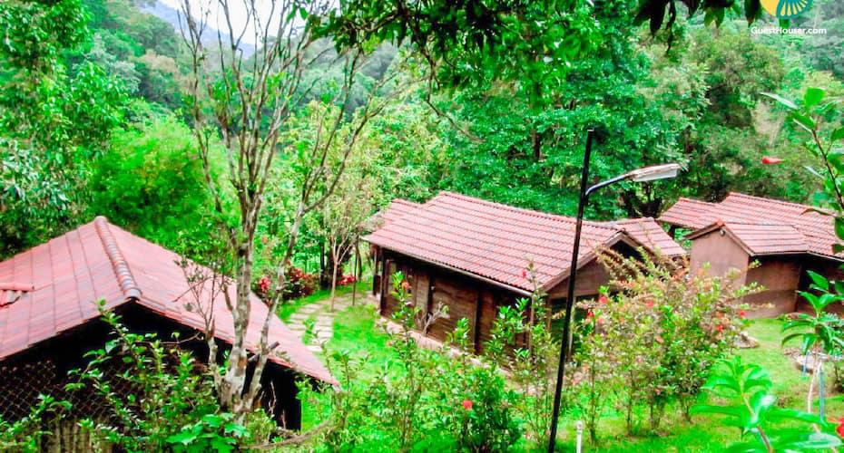 Cosy Cottage Stay Perfect For A Travelling Group, Coorg 2