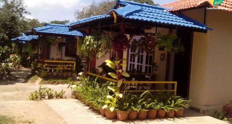 Vibrant Cottage For Three Festooned With Myriad Plants, Coorg 1