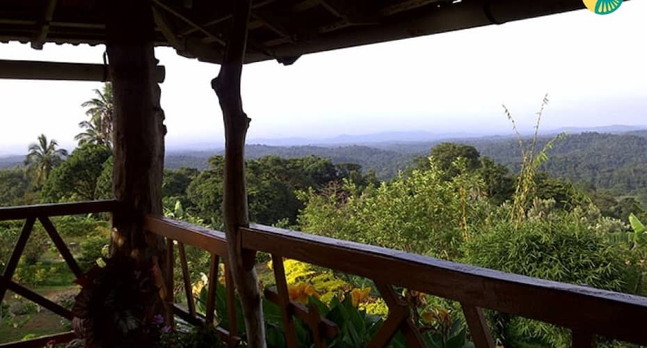 Stucco-roofed Stay Perfect For Nature Enthusiasts, Coorg 1