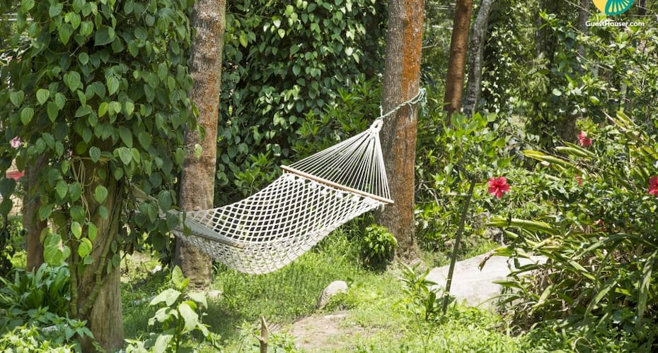 Secluded cottage room for backpackers seeking adventure, Chikmaglur 4