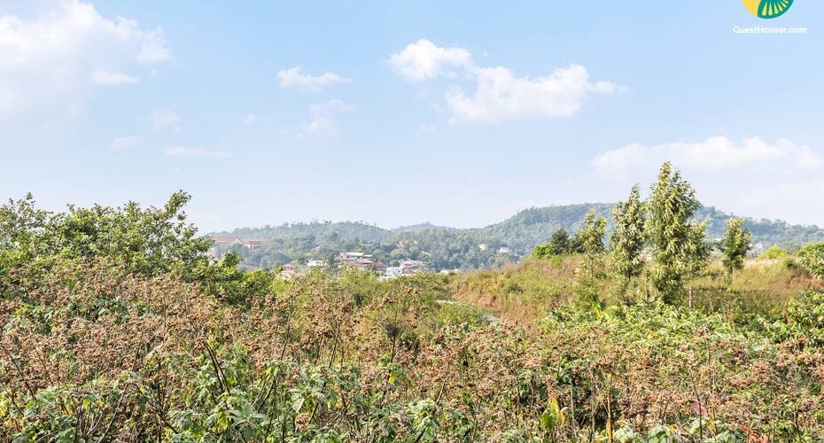 1-BR stay in a well-appointed homestay amid lush greenery, Madikeri 3
