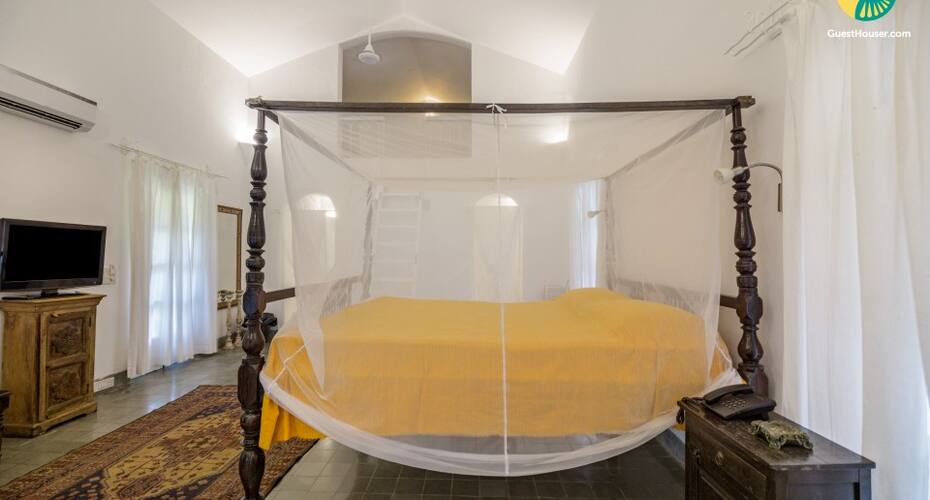 Quaint room for pet lovers, 1.2 km from Morjim Beach, Goa 3