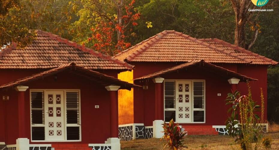 Tent stay for a large group, Dandeli 1