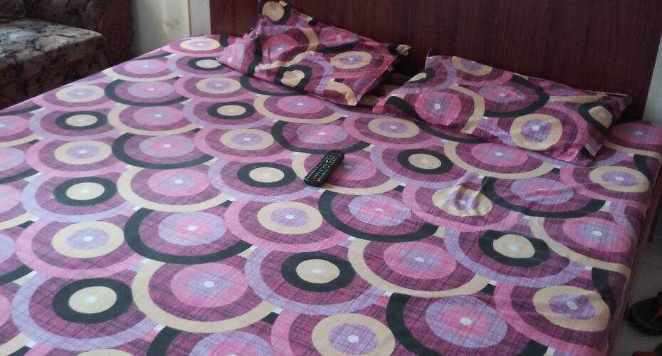 Hotel Plazza, Hissar 2