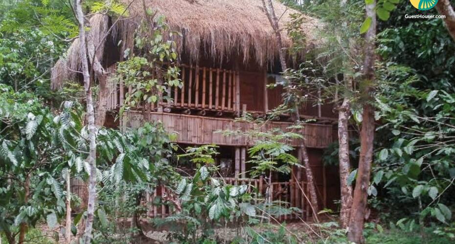 3-bedroom Homestay Surrounded By Verdant Greenery, Coorg 4