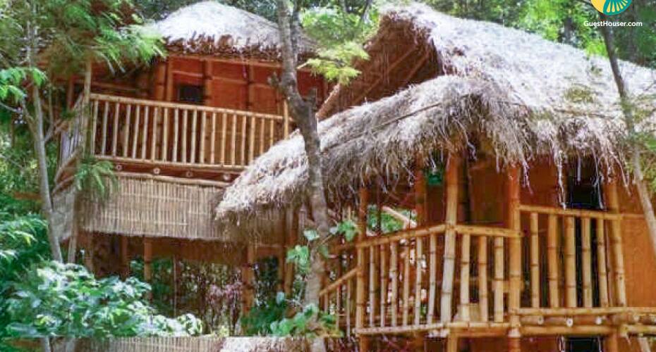 3-bedroom Homestay Surrounded By Verdant Greenery, Coorg 5
