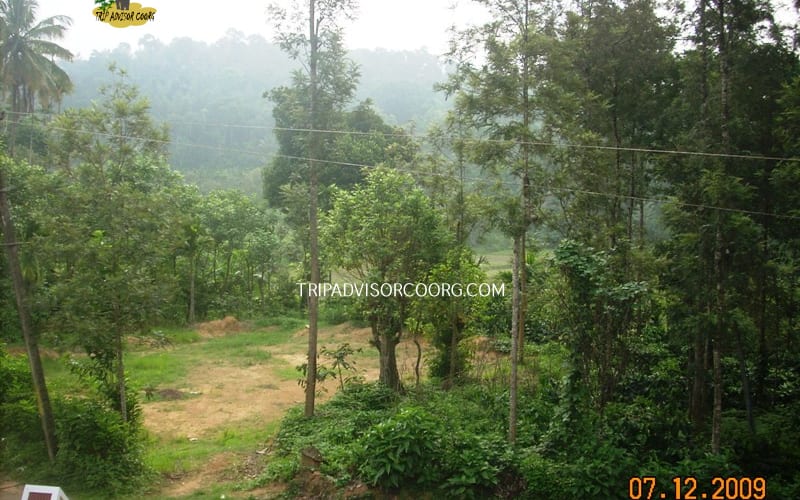 Discover Coorg Blue Valley, Coorg 3