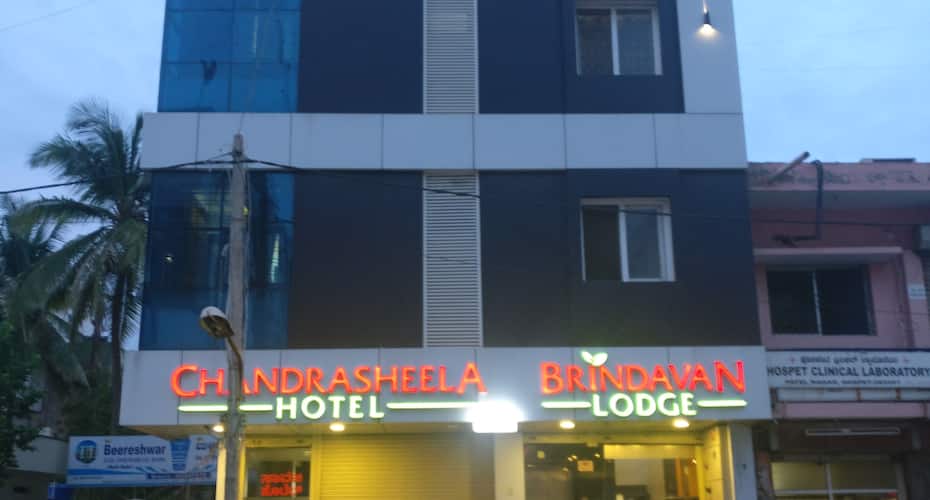 Brindavan Lodge, Hampi 1