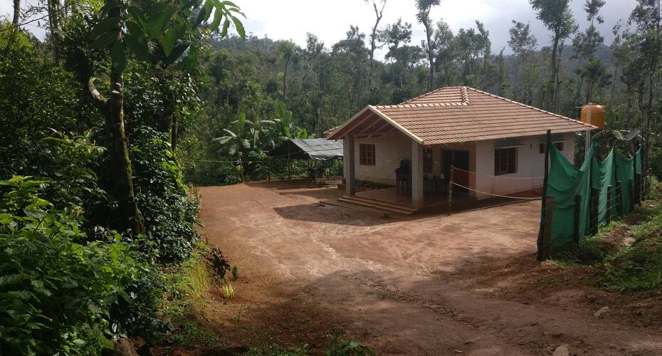 Giriyadri Homestay, Chikmaglur 1