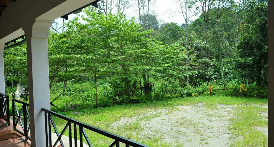 Sri nidhi estate stay, Madikeri 3