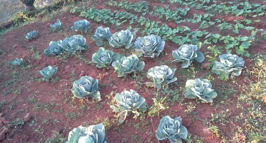 Eagles Nest, Panchgani 2