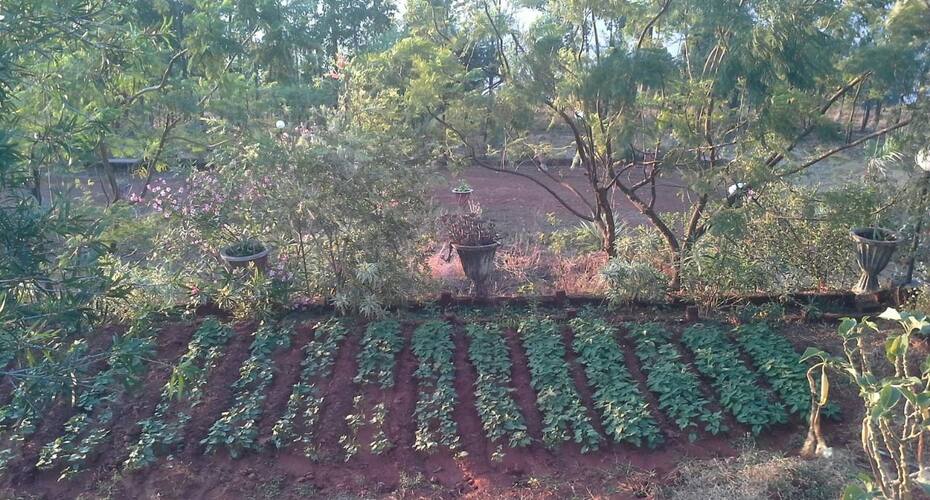 Eagles Nest, Panchgani 4