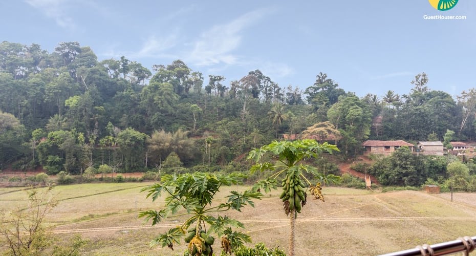 Cheerful Homestay, Close To Doddhyele Falls, Coorg 5