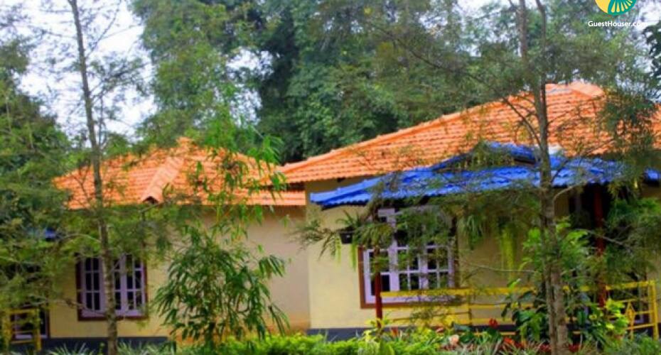 Vibrant Cottage For Three Festooned With Myriad Plants, Coorg 4