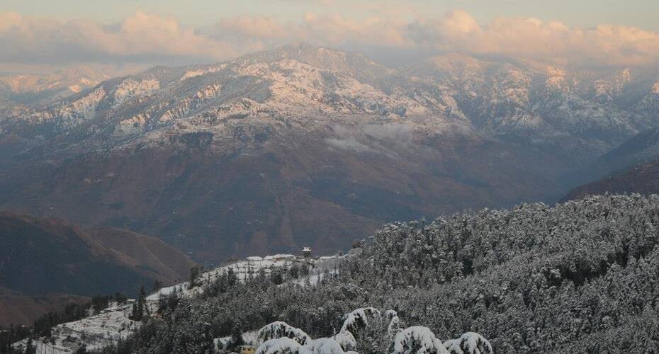 Highlander Homestay, Shimla 3