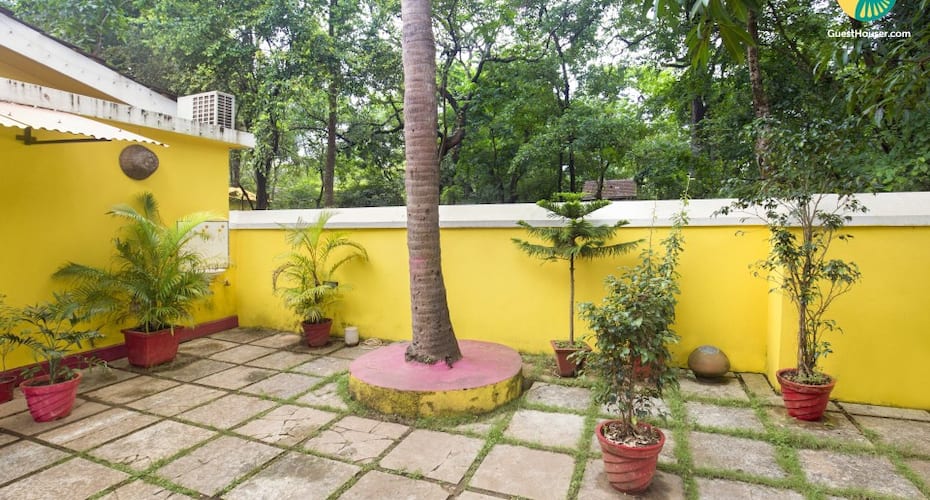 Eco-friendly stay near Anjuna beach, Goa 5