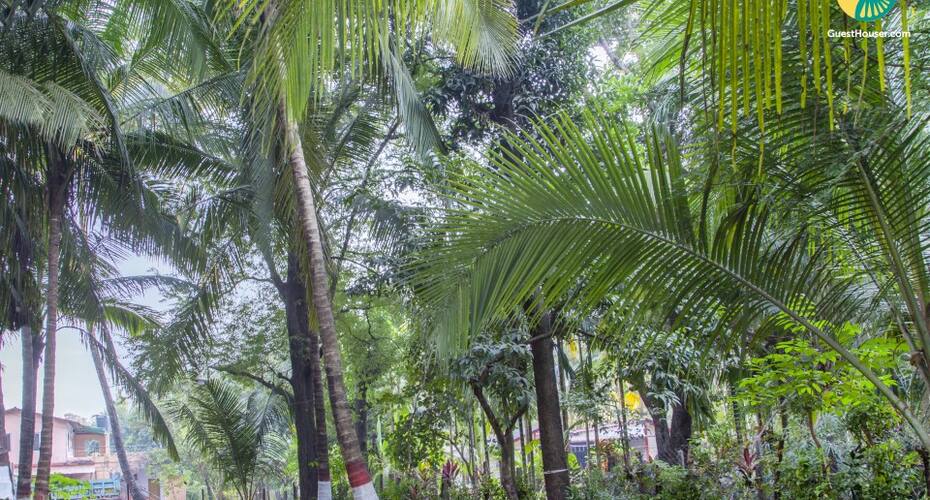 4-BR cottage for a recreational holiday, 550 m from Nagaon beach, Alibaug 5