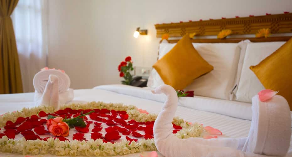 At Wood Resort Munnar Price Reviews Photos Address This package will help you to explore munnar dew drops farm resort and the beauty of munnar. at wood resort munnar price reviews