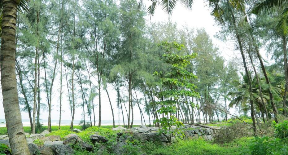 Kadaltheeram Homestay, Kollam 4