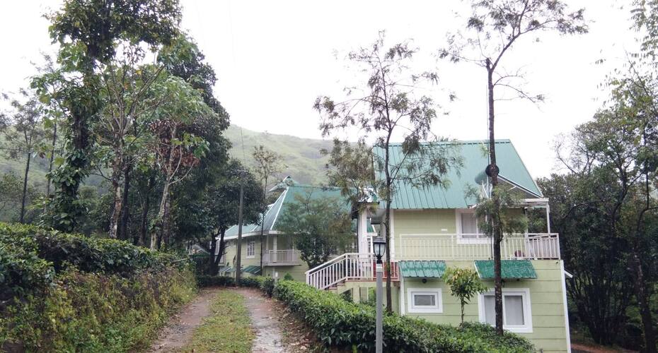 Lavender Plantation Stay, Vagamon 2