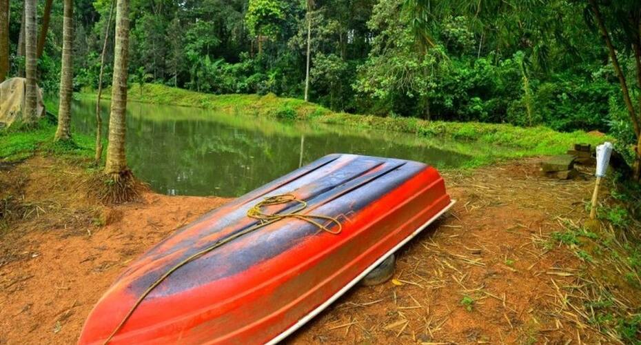 Discover Coorg Pearl Green, Coorg 5