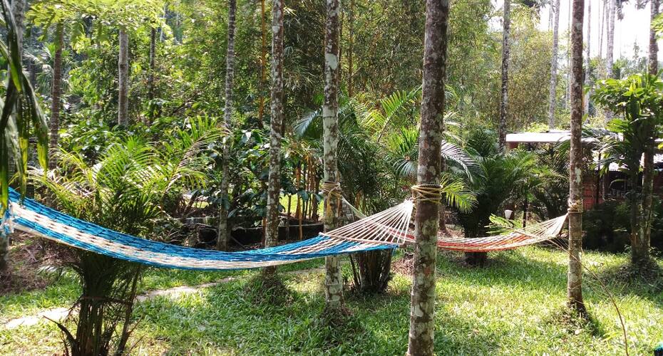 Glendale Holiday Homes, Wayanad 3