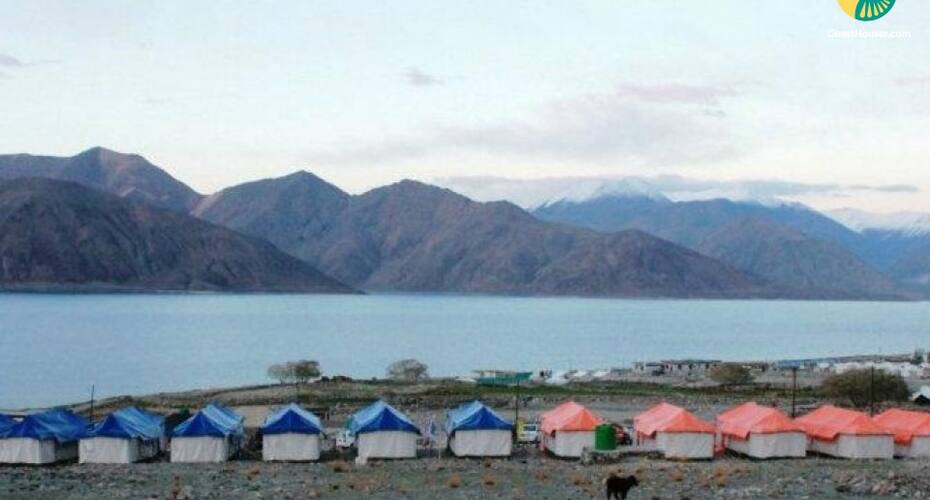 Private tent facing Lake Pangong, Leh 1