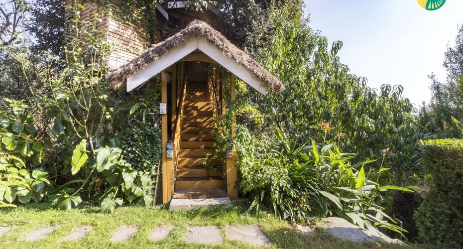 1-BR Treehouse for Three, Manali 1