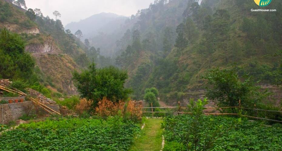 Hillside Room ideal for Couples, Shimla 5