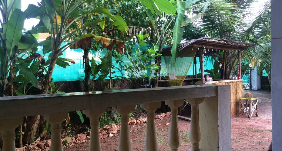 An enchanting oasis of tranquility, Goa 2