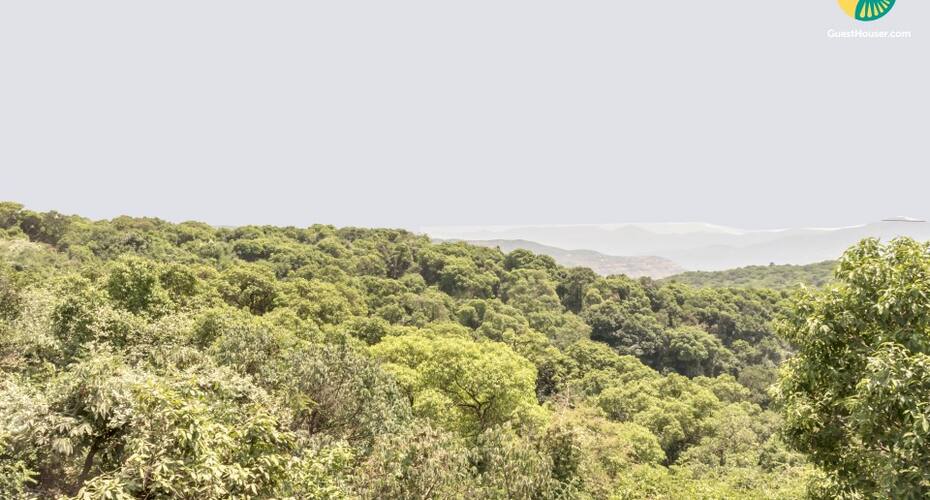 Boutique room for 3, Mahabaleshwar 1