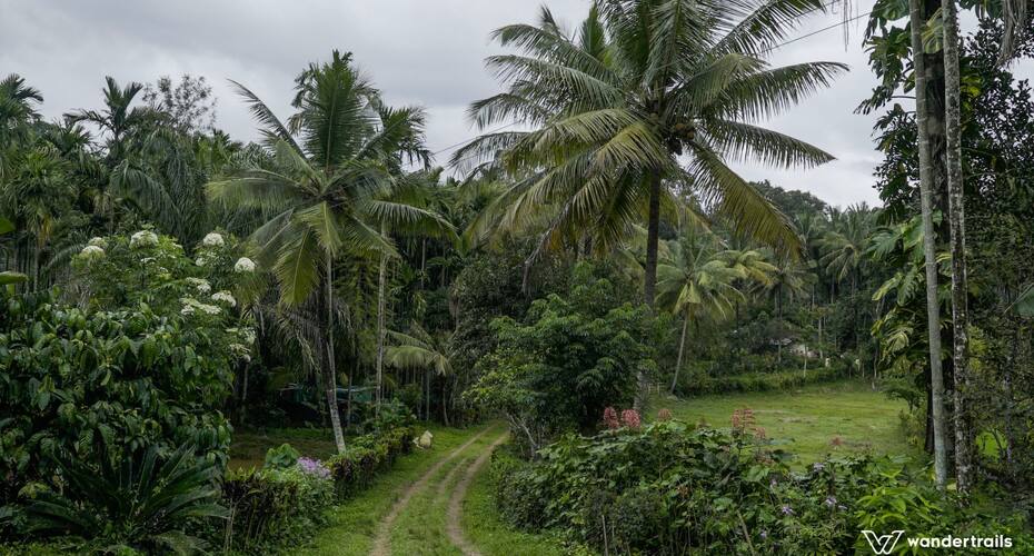 Aditi Estate Homestay - A Wandertrails Stay, Madikeri 5