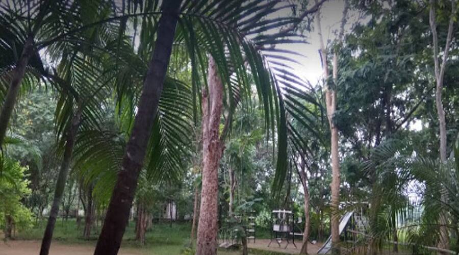 Grand Celebration Resort, Mahasamund 5