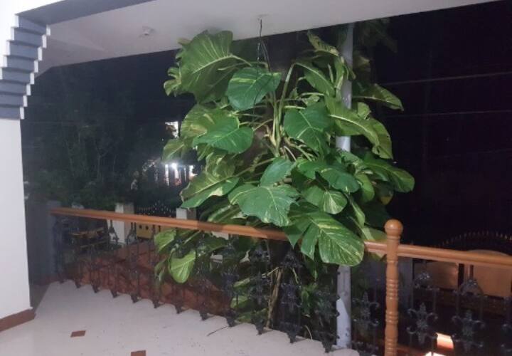 Dakshina Homestay, Varkala 4