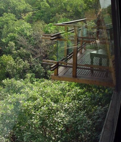 3-BR treehouse for 8, Lonavala 1