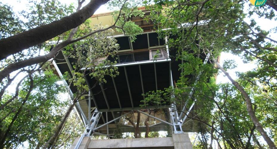 3-BR treehouse for 8, Lonavala 2