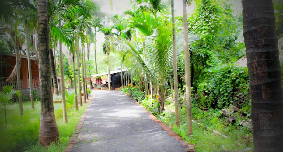 Amita Farm House ...... A Luxury Homestay, Dapoli 4