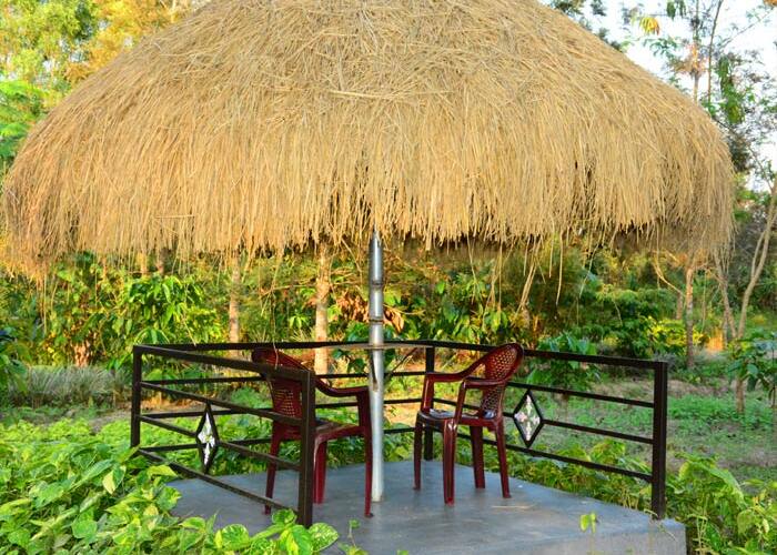 Coorg Cliff View Homestay, Coorg 5