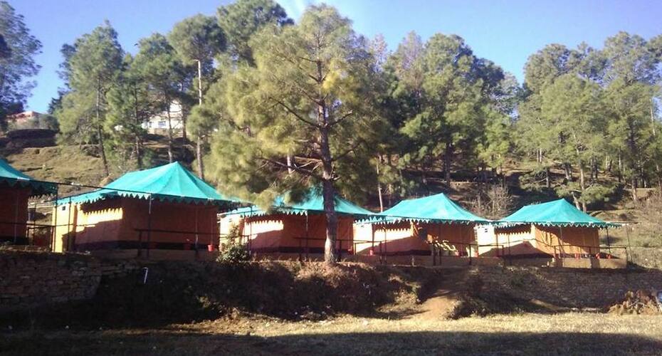 Bay Berry Camp and Resort, Ranikhet 1