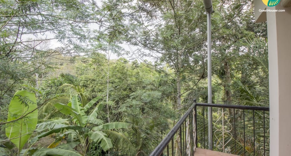 Well-furnished homestay surrounded by lush greenery, Madikeri 5