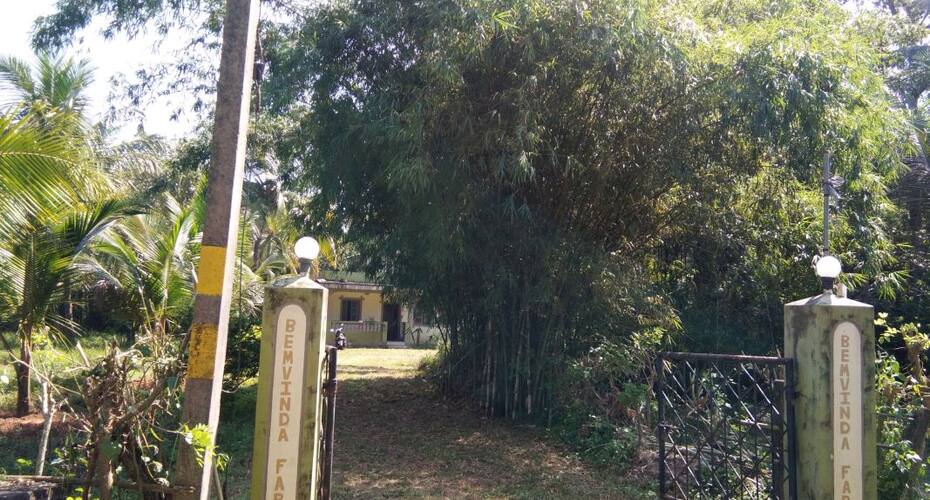 Bemvinda Holiday Homes, Goa 3