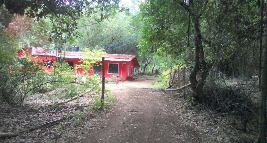Forest For Rest Home Stay, Masinagudi 2