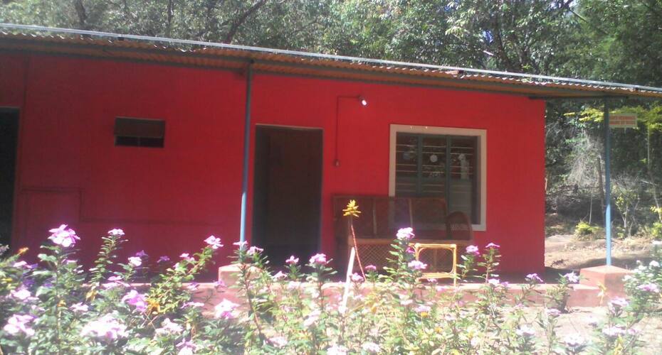 Forest For Rest Home Stay, Masinagudi 3