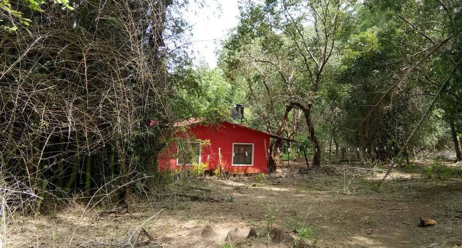 Forest For Rest Home Stay, Masinagudi 4