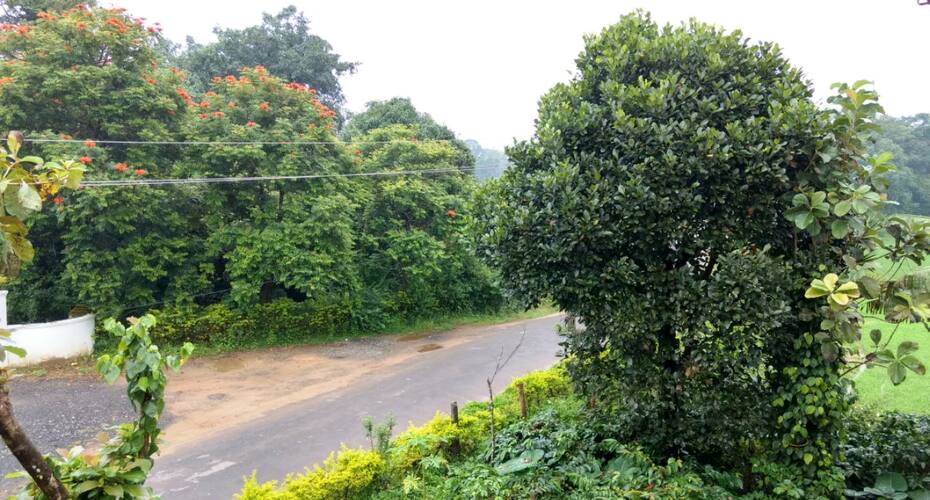 Mountain View Homestay, Madikeri 2