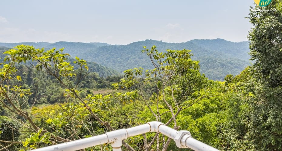 Elegant homestay nestled in a hilly landscape, Madikeri 1