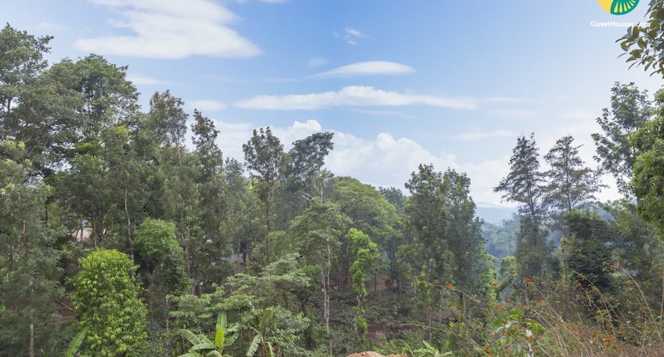 Idyllic retreat nestled in greenery, 2.8 km from Madikeri Fort, Madikeri 2