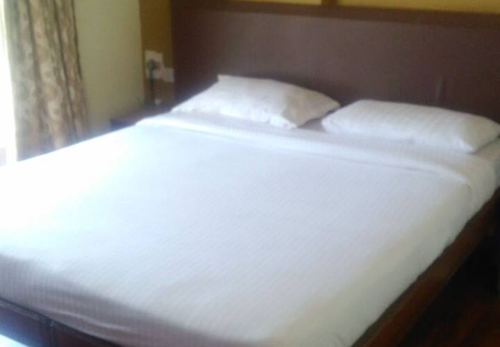 Platinum + Casa Helena, Goa 4