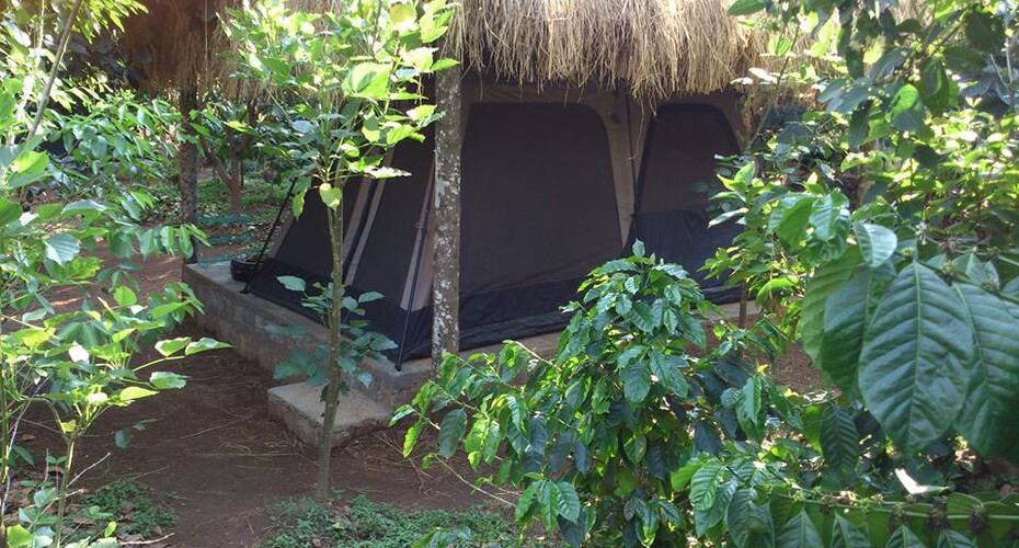 The Foot Hill Camp, Kushalnagar 5